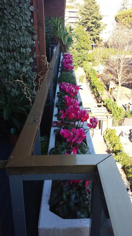 Fiore Vaticano B&B Roma Exterior foto